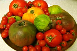 1-tomatoes-2-IMG_3018